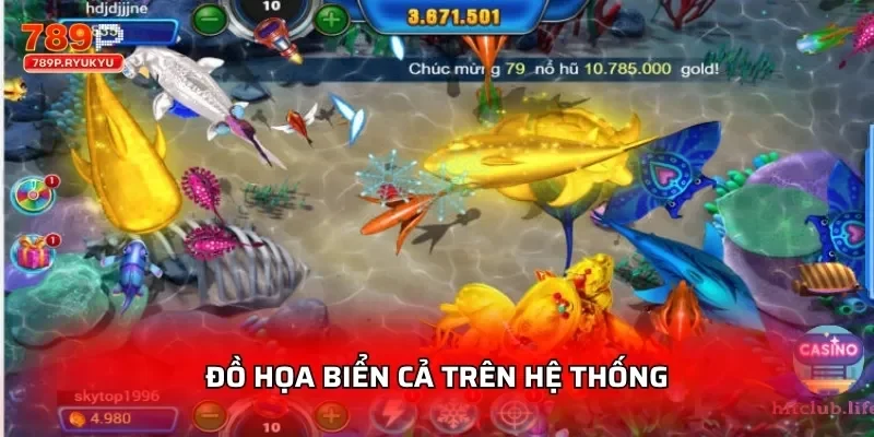 Đồ họa biển cả trên hệ thống