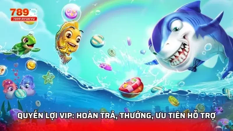 Quyền lợi cơ bản mà phía người chơi sẽ nhận được